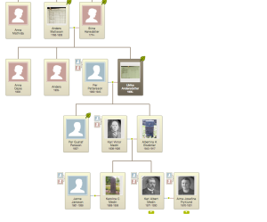 Screen shot of family tree in ancestry